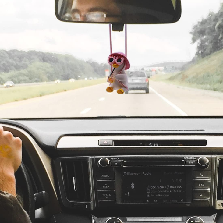 Duck ornament hanging in a car